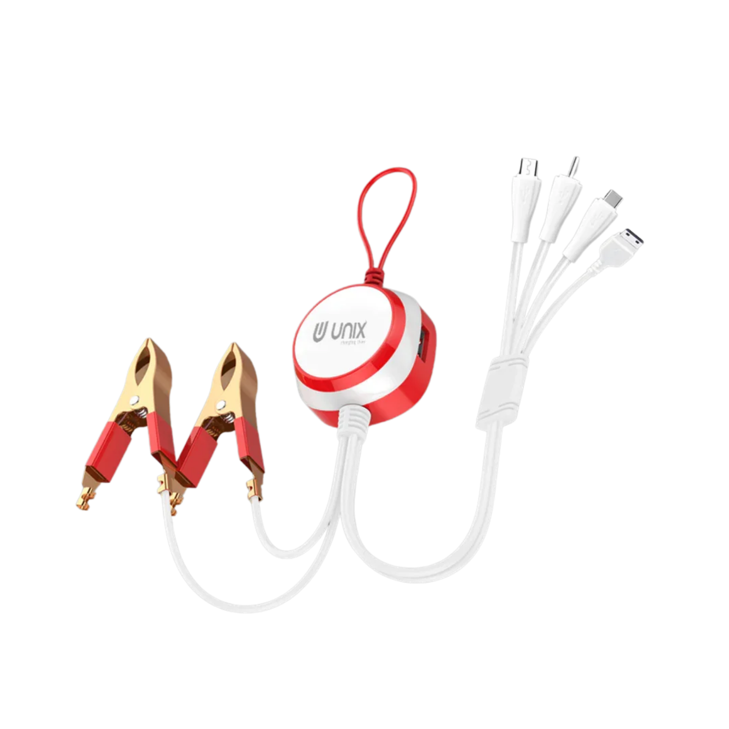 Unix 4 In 1 DC Smart Charger